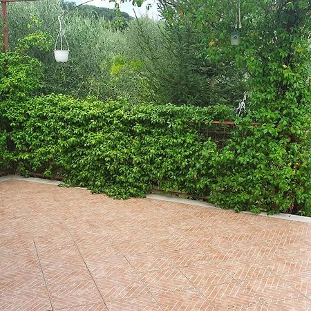 Nonno Atti Daire Castel San Lorenzo Dış mekan fotoğraf