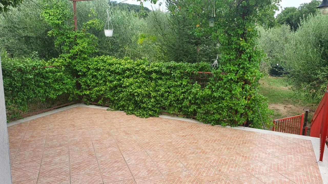 Nonno Atti Daire Castel San Lorenzo Dış mekan fotoğraf